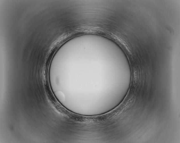 X0000111920682200907271010