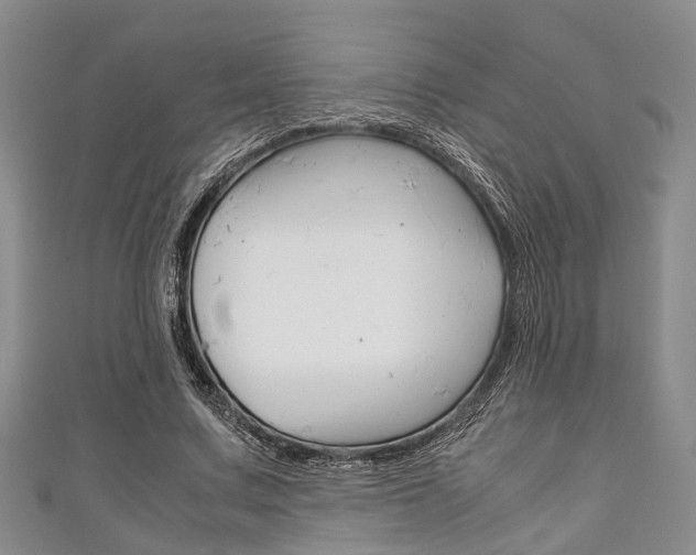 X0000111920683200907271010