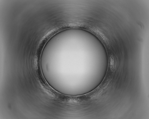 X0000111920684200907271010