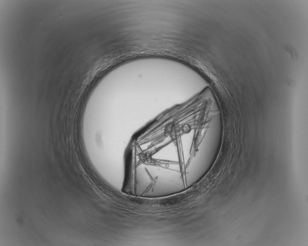 X0000111920685200907271010