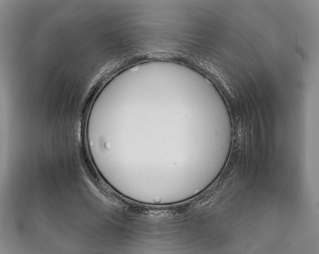 X0000111920686200907271010