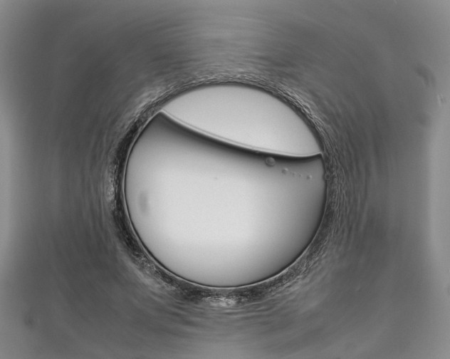 X0000111920687200907271010