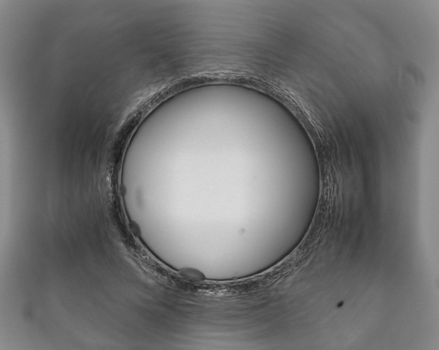 X0000111920688200907271010