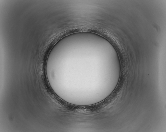 X0000111920689200907271010