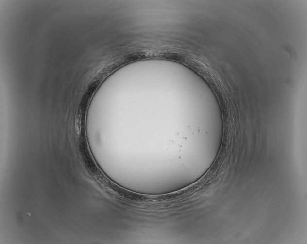 X0000111920691200907271009
