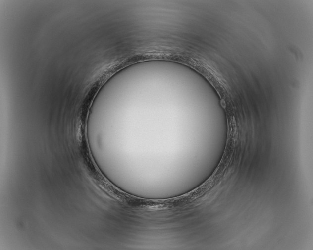 X0000111920692200907271009