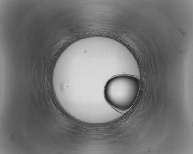 X0000111920693200907271009