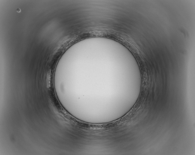 X0000111920694200907271009