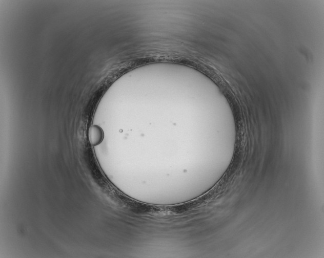 X0000111920695200907271009