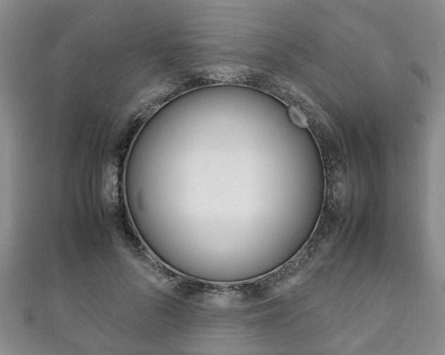 X0000111920696200907271009