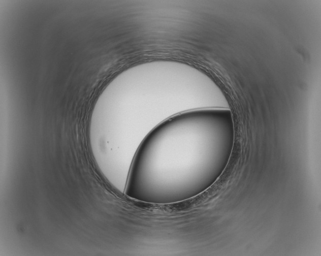 X0000111920697200907271009