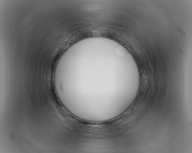 X0000111920698200907271009