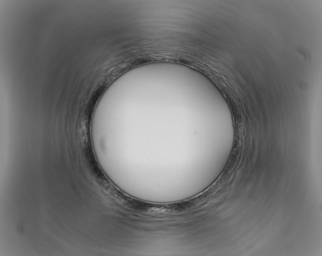 X0000111920699200907271009