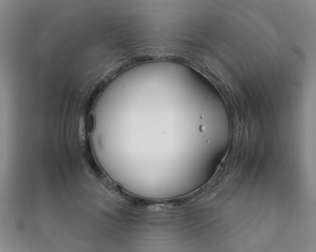 X0000111920700200907271009