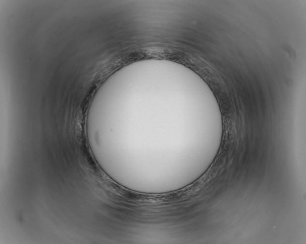 X0000111920702200907271009