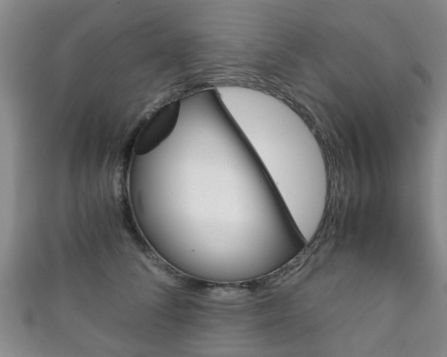 X0000111920708200907271009