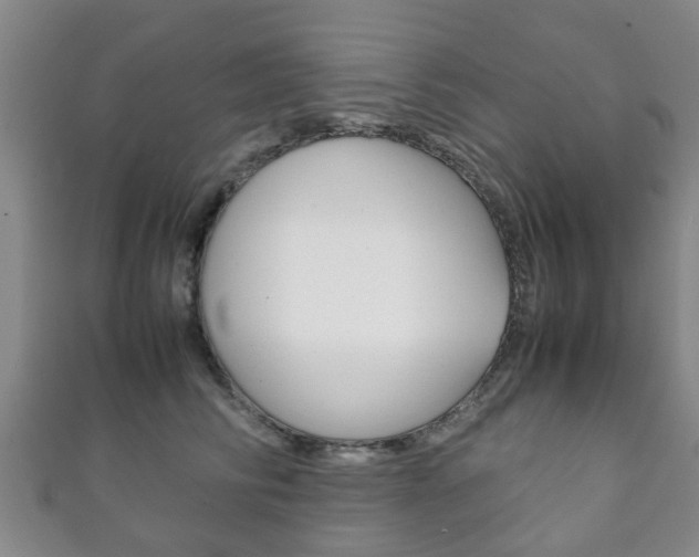 X0000111920710200907271009