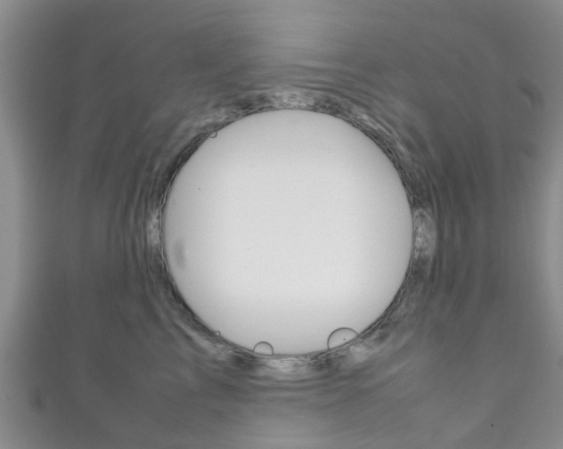 X0000111920713200907271009