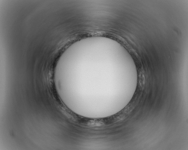 X0000111920714200907271009