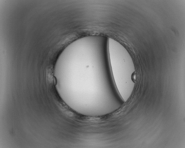 X0000111920719200907271009