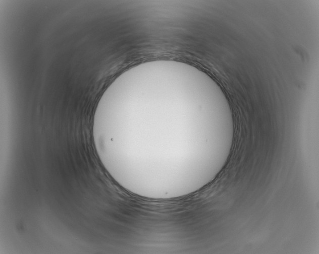 X0000111920720200907271009