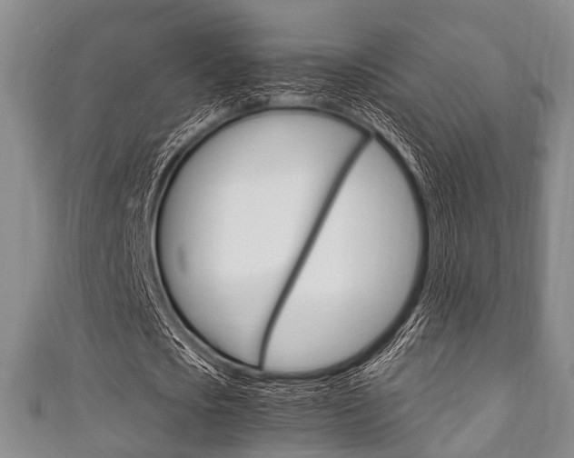 X0000111920721200907271008