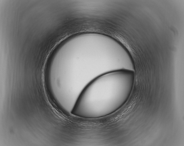 X0000111920722200907271008