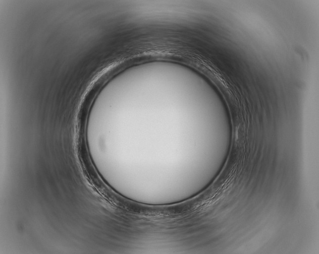 X0000111920724200907271008