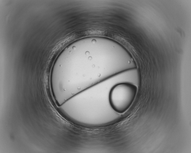 X0000111920725200907271008