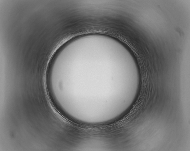 X0000111920726200907271008
