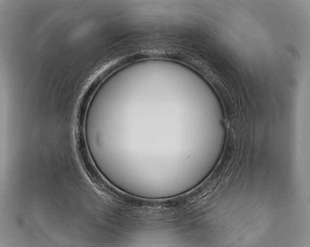X0000111920728200907271008