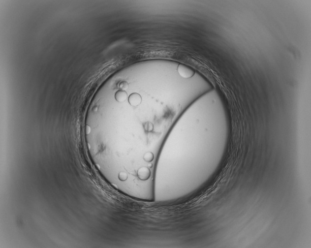 X0000111920729200907271008