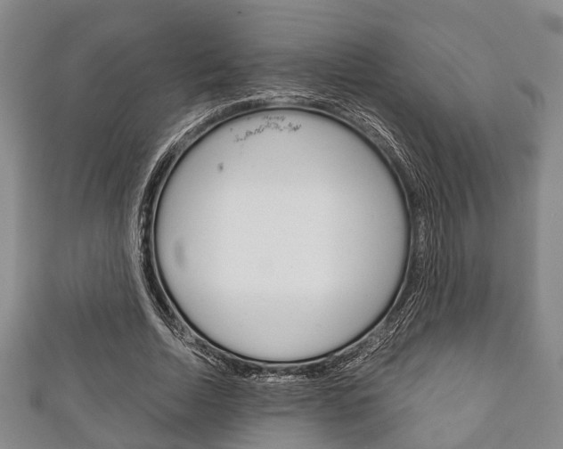 X0000111920730200907271009