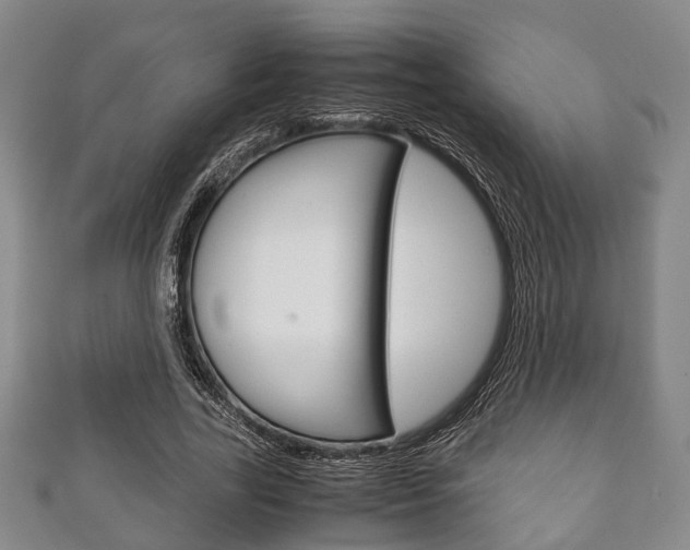 X0000111920731200907271009