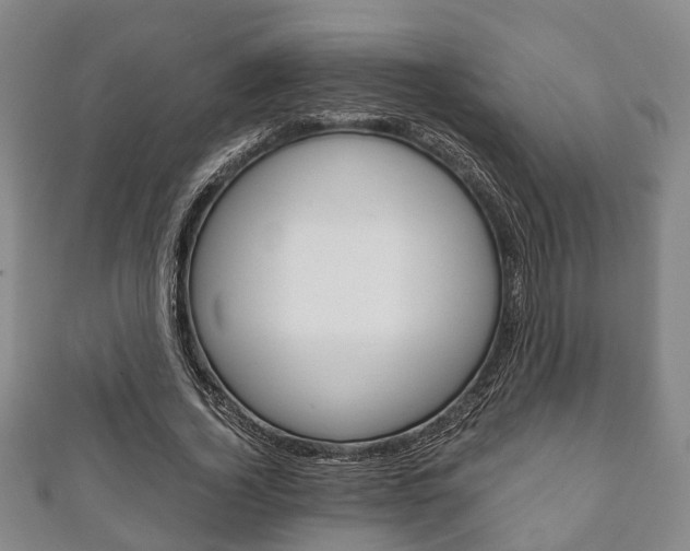 X0000111920732200907271009