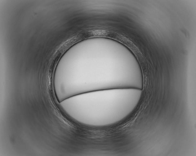 X0000111920733200907271009