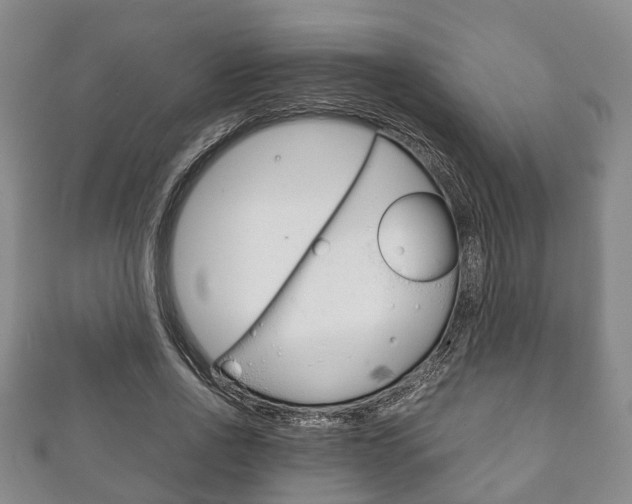 X0000111920734200907271009