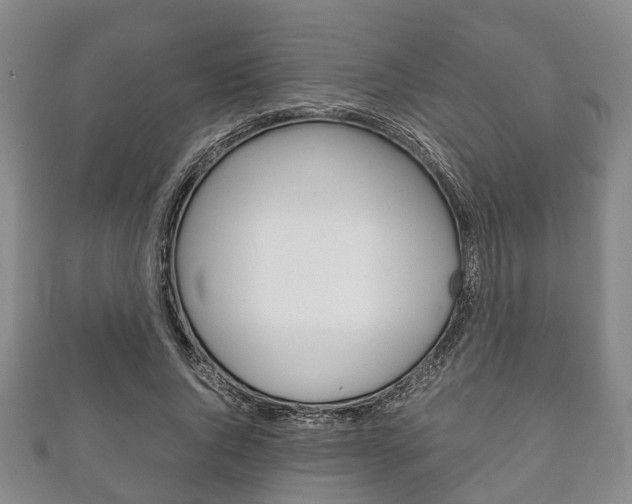 X0000111920736200907271009