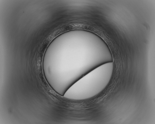X0000111920737200907271009