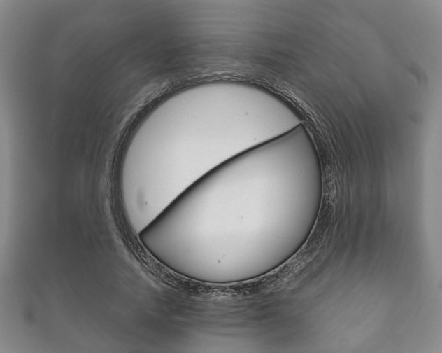X0000111920738200907271009