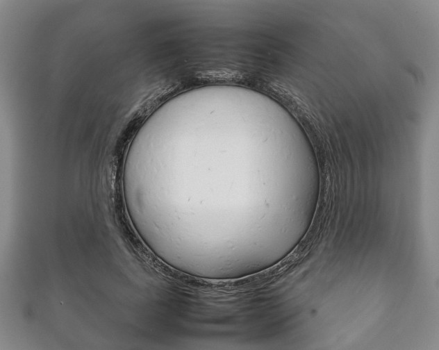 X0000111920739200907271009
