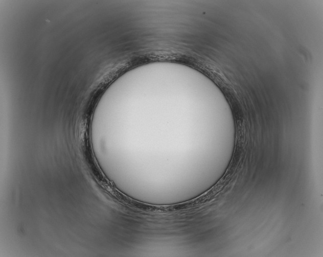 X0000111920742200907271009