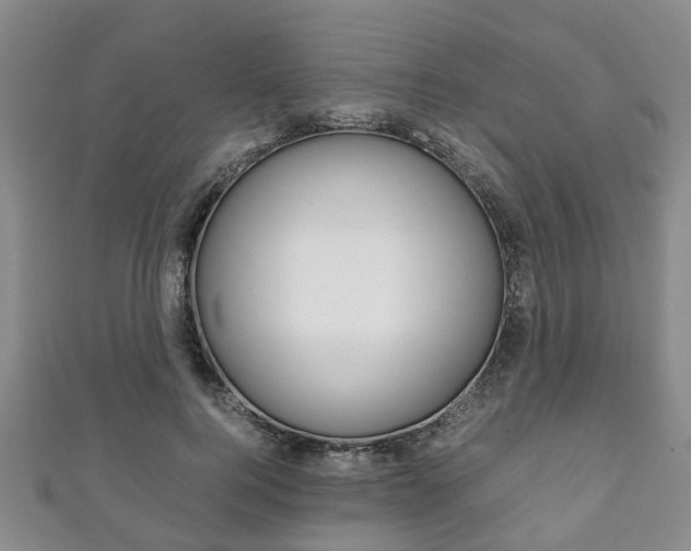 X0000111920744200907271009