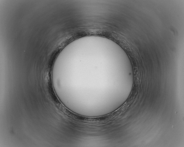 X0000111920746200907271009
