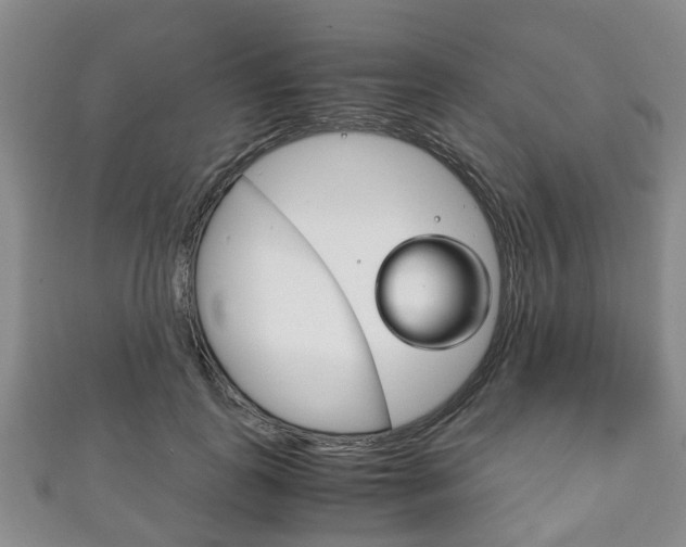 X0000111920747200907271009