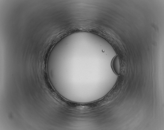 X0000111920748200907271009