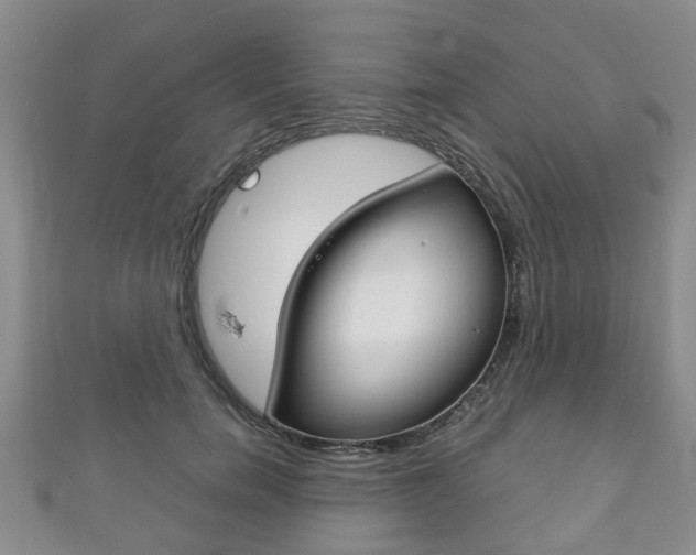 X0000111920750200907271009
