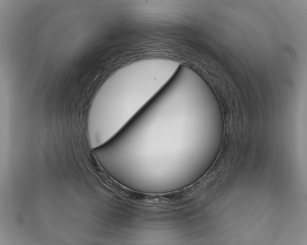 X0000111920752200907271009