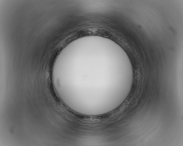 X0000111920754200907271009