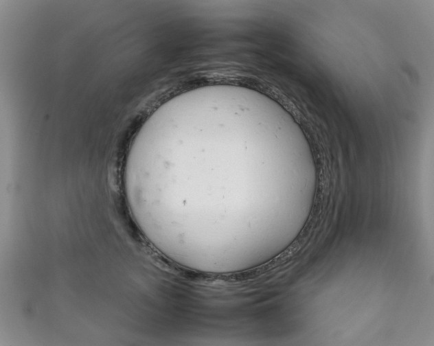X0000111920755200907271009
